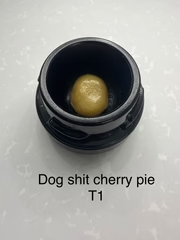 Flannel Boyz Dog Shit Cherry Pie T1